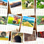 REFILLS 2023 Recycled Paper Photo Calendars Lexington Etsy