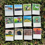 REFILLS 2023 Recycled Paper Photo Calendars Lexington Etsy