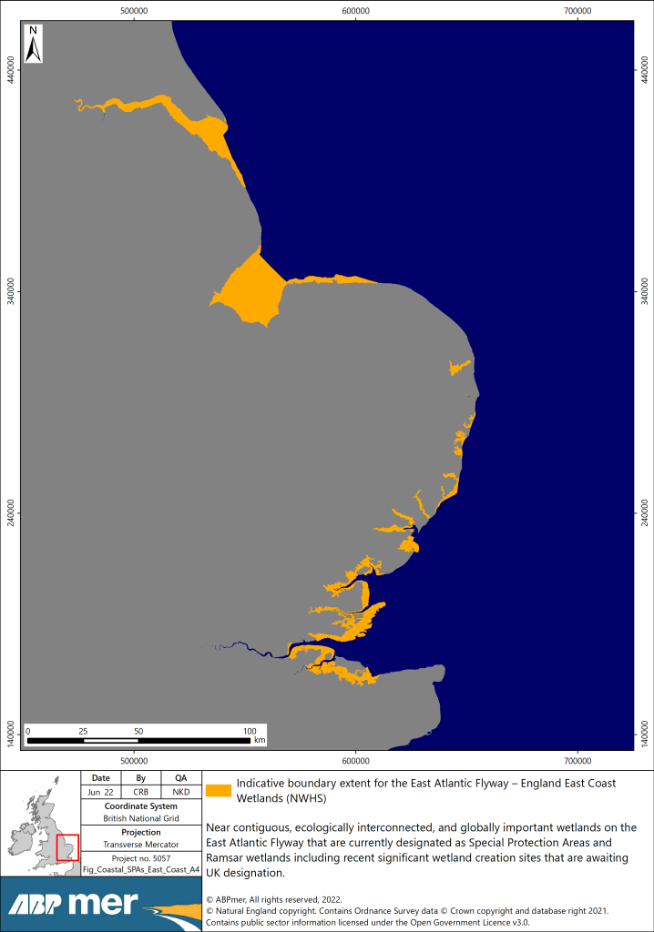 World Heritage Bid For Coastline The Voice