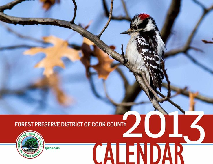 Beginning December 5 The Forest Preserve District Of Cook County s 