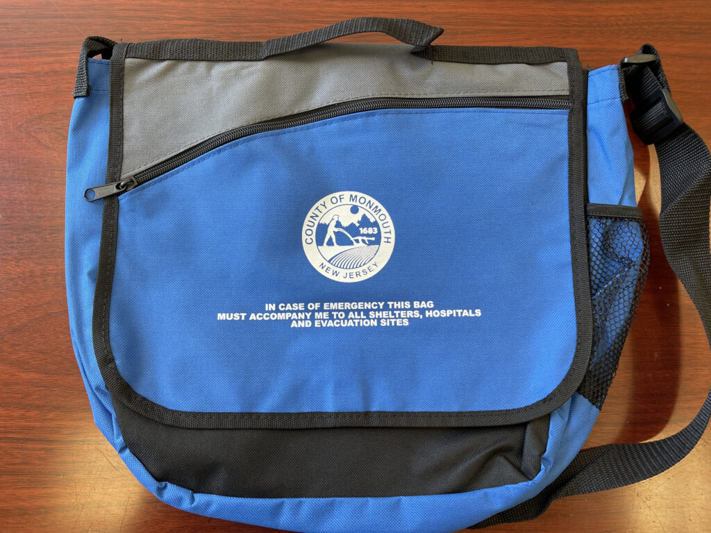 Division On Aging Disabilities And Veterans Services Ready Go Bags 