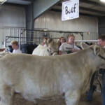 KRVN 880 KRVN 93 1 KAMI Box Butte County Fair Board Votes To Move