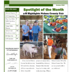 Nelson County 4 H Summer 2016 By NelsonCounty Extension Issuu