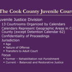 PPT An Introduction To The Cook County Juvenile Justice System