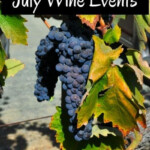 Sonoma Events In July 2022 Calendar Of Activities July Events