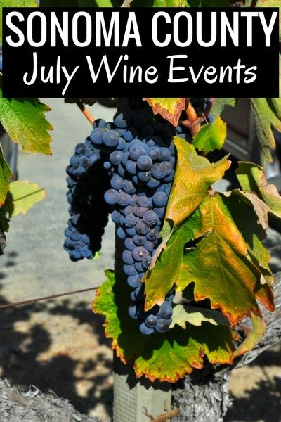 Sonoma Events In July 2022 Calendar Of Activities July Events